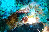 DSC02173.jpg